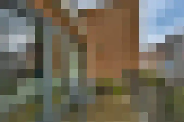 Stationsstraat 2 101 Holten thumbnail 5