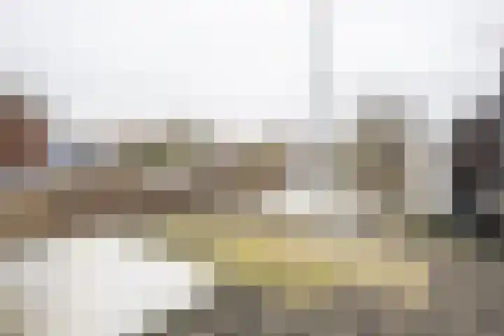 Stationsstraat 2 B Etten-Leur thumbnail 25