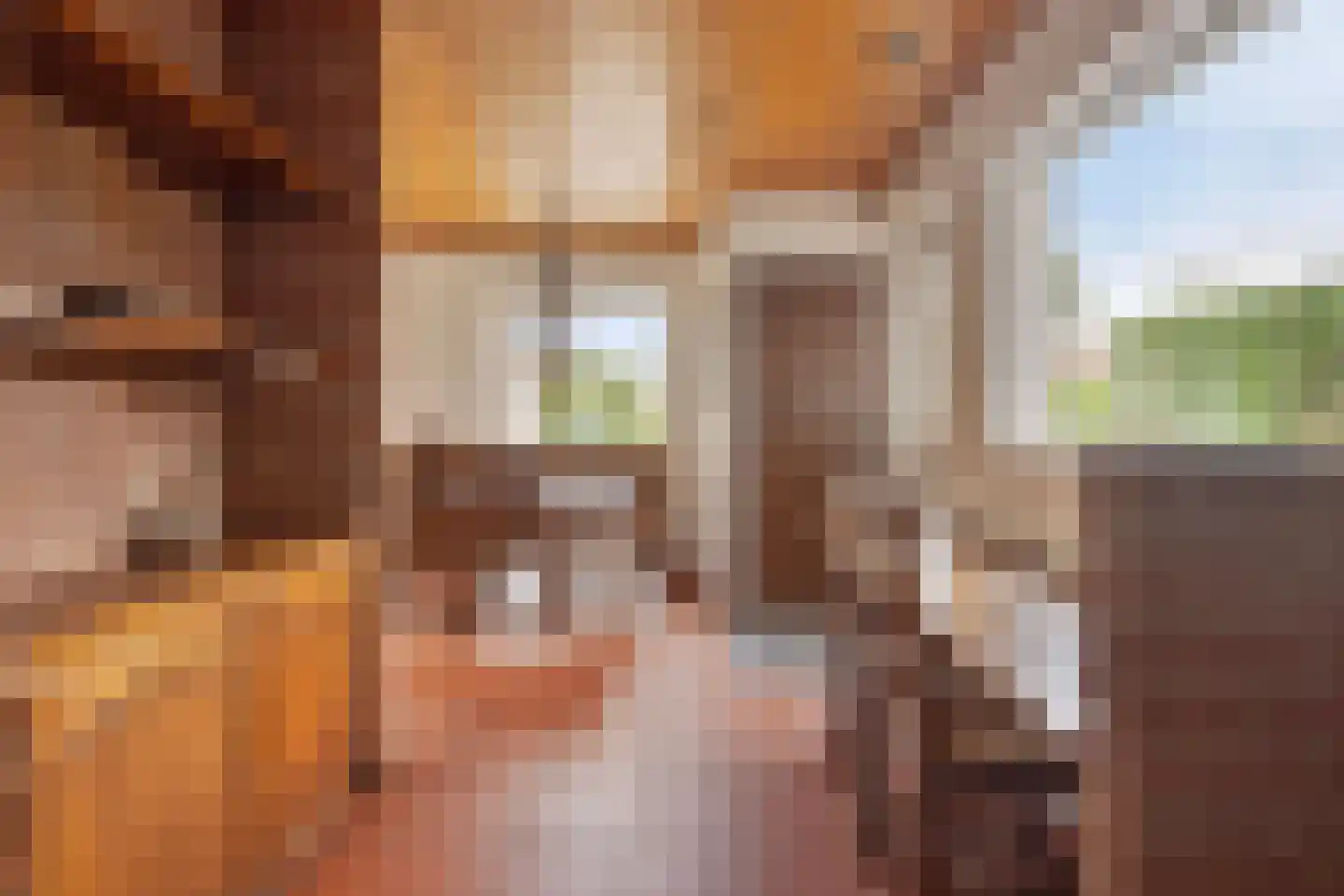 Stationsstraat 2 Mill thumbnail 24