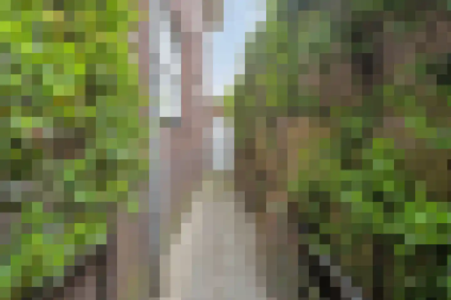 Stationsstraat 2 Mill thumbnail 68