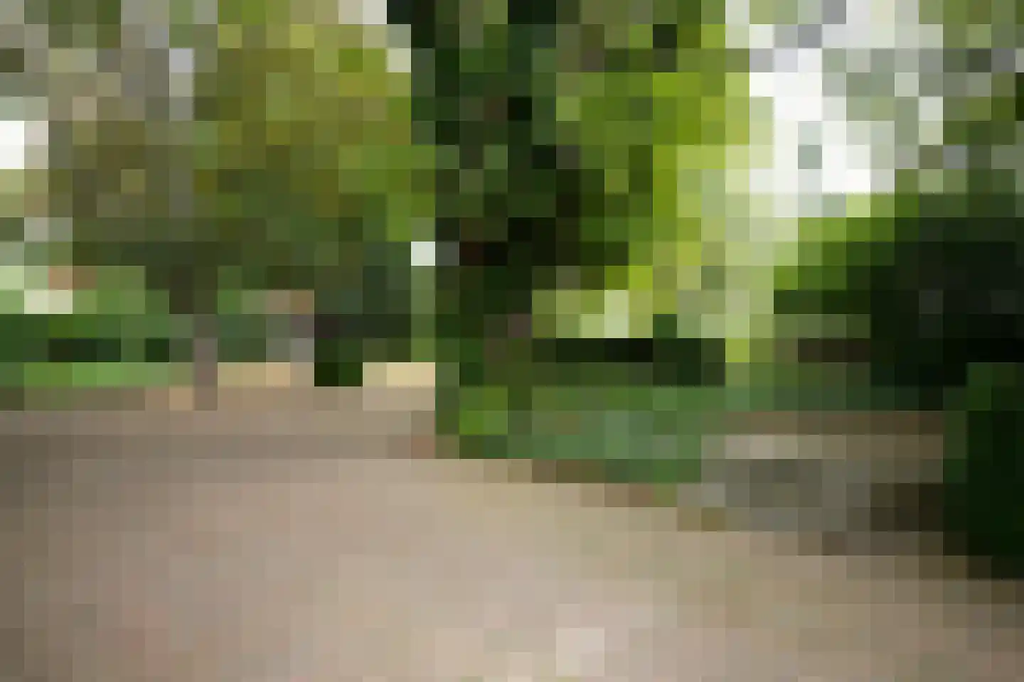 Stationsstraat 2 Tiel thumbnail 43