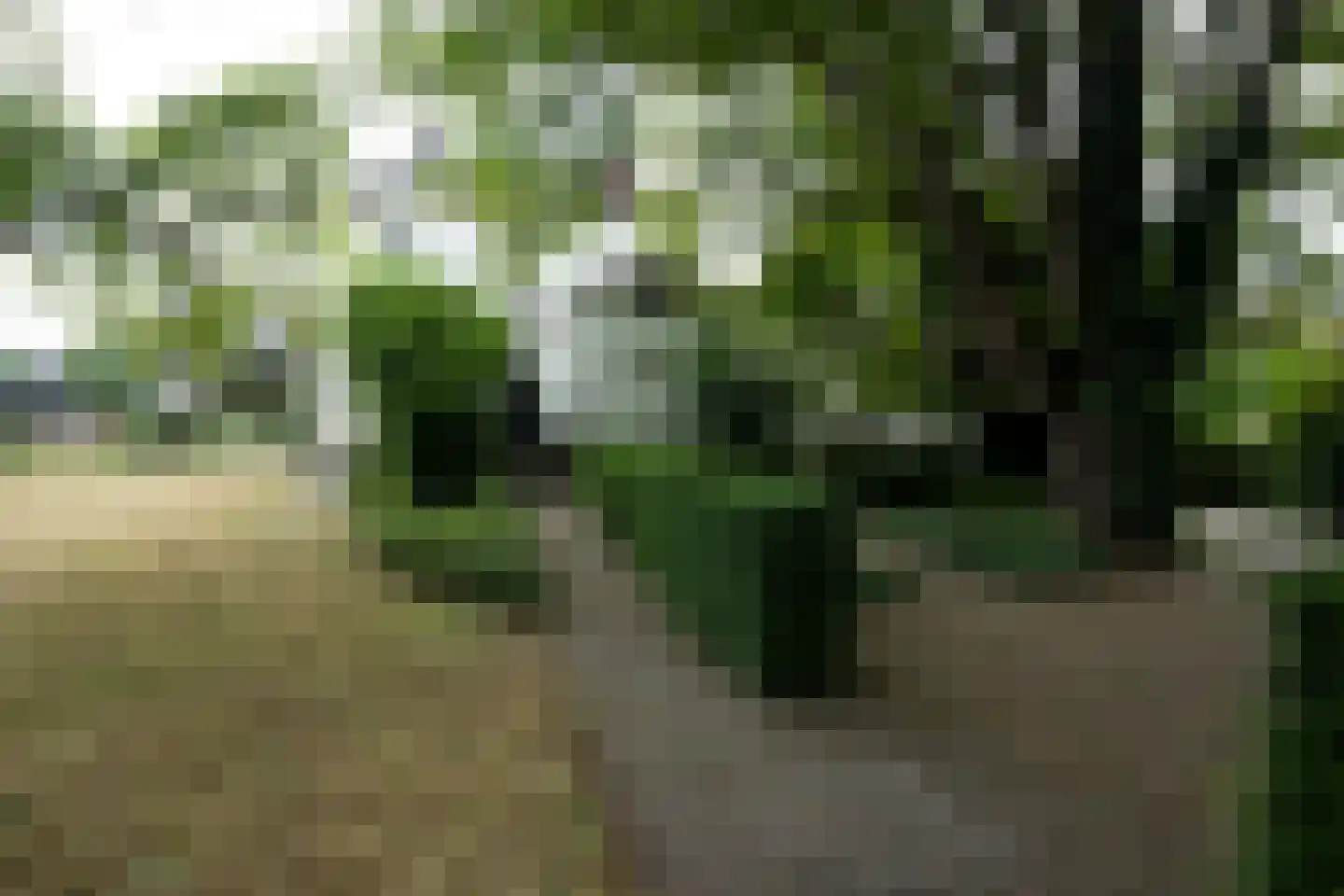 Stationsstraat 2 Tiel thumbnail 45