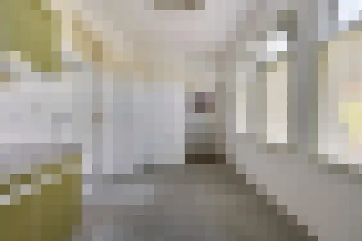 Stationsstraat 2 Uithuizermeeden thumbnail 24