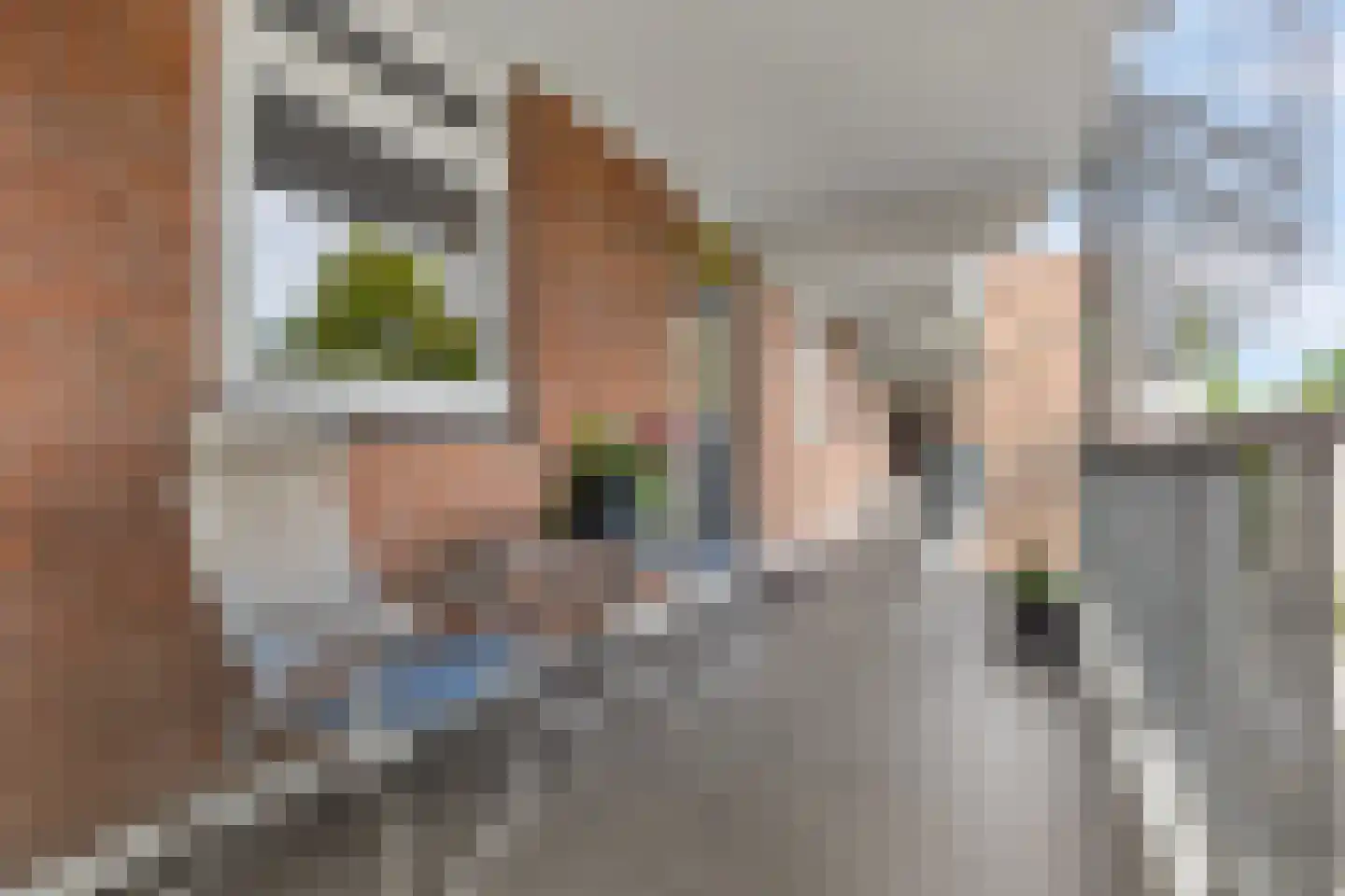 Stationsstraat 208 Apeldoorn thumbnail 18