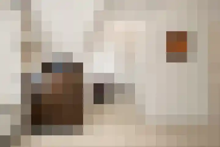 Stationsstraat 22 B Lunteren thumbnail 27