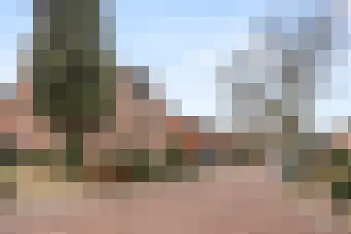 Stationsstraat 22 B Lunteren thumbnail 43
