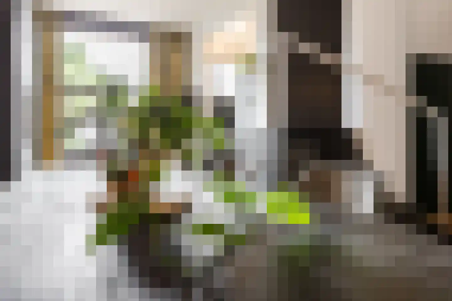 Stationsstraat 22 Bergen op Zoom thumbnail 11