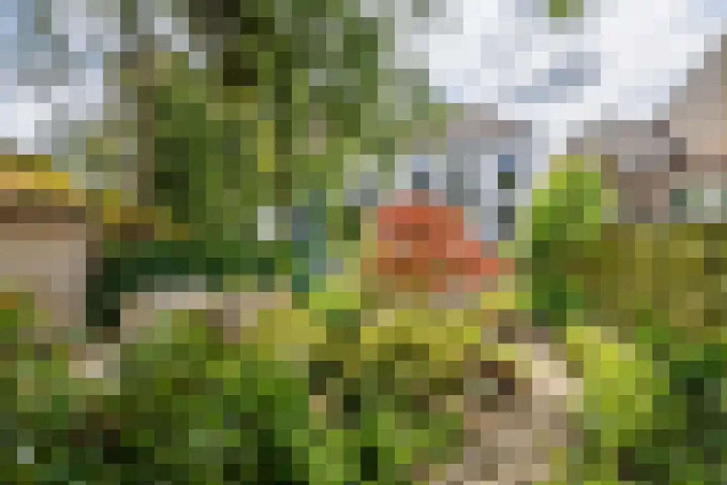 Stationsstraat 22 Tiel thumbnail 33