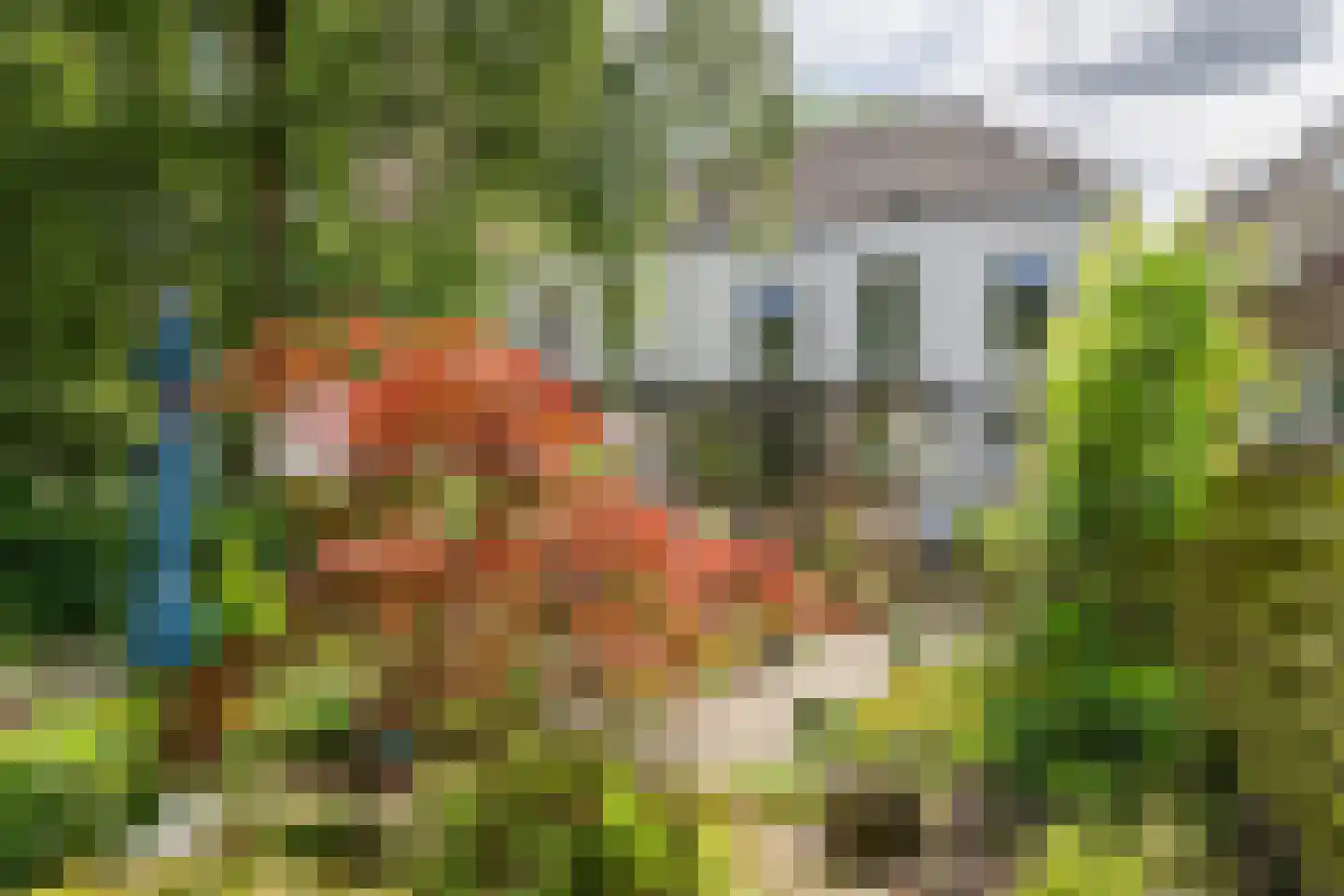 Stationsstraat 22 Tiel thumbnail 34
