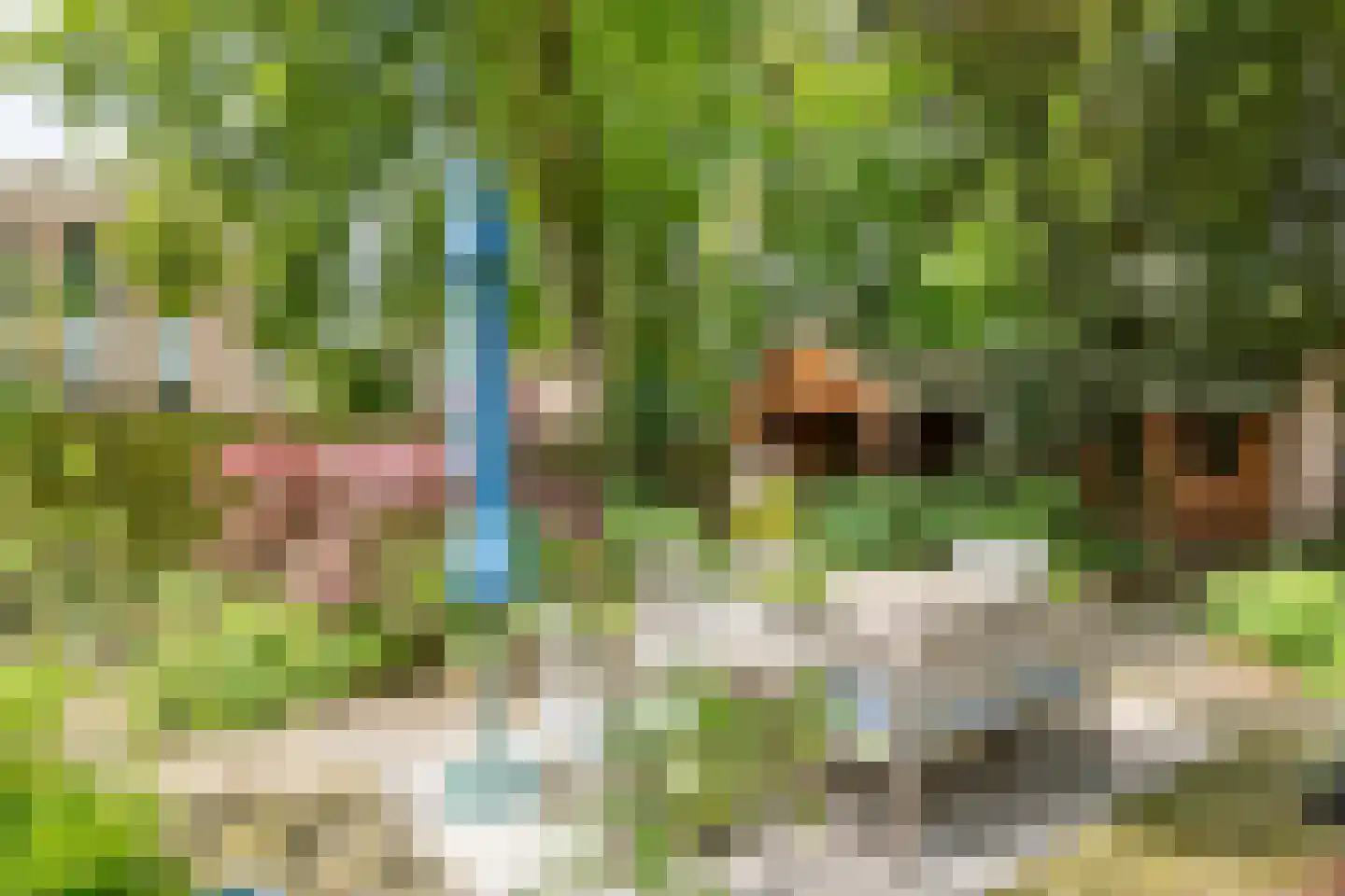 Stationsstraat 22 Tiel thumbnail 39