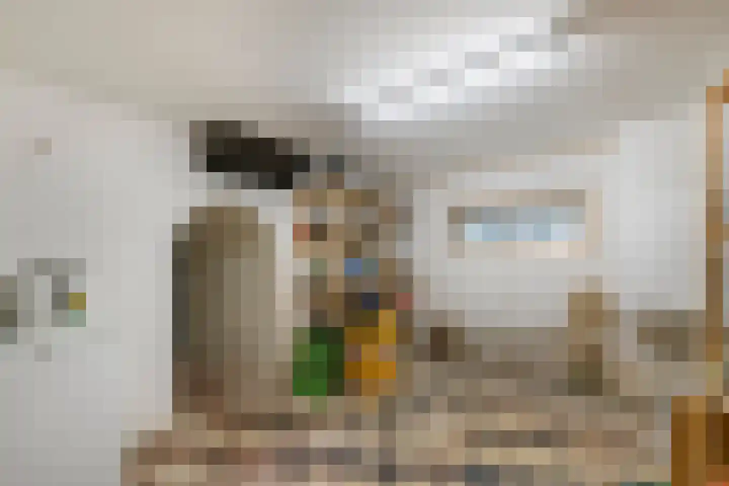 Stationsstraat 22 Tiel thumbnail 49