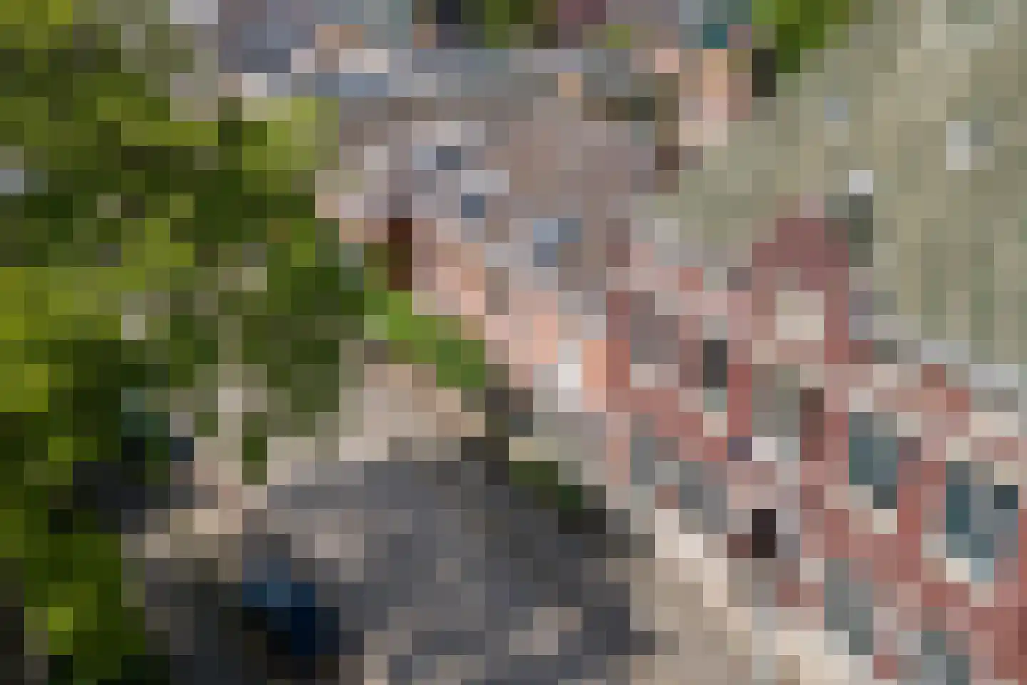 Stationsstraat 22 Tiel thumbnail 80
