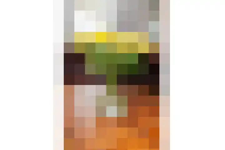 Stationsstraat 23 R Hardinxveld-Giessendam thumbnail 9