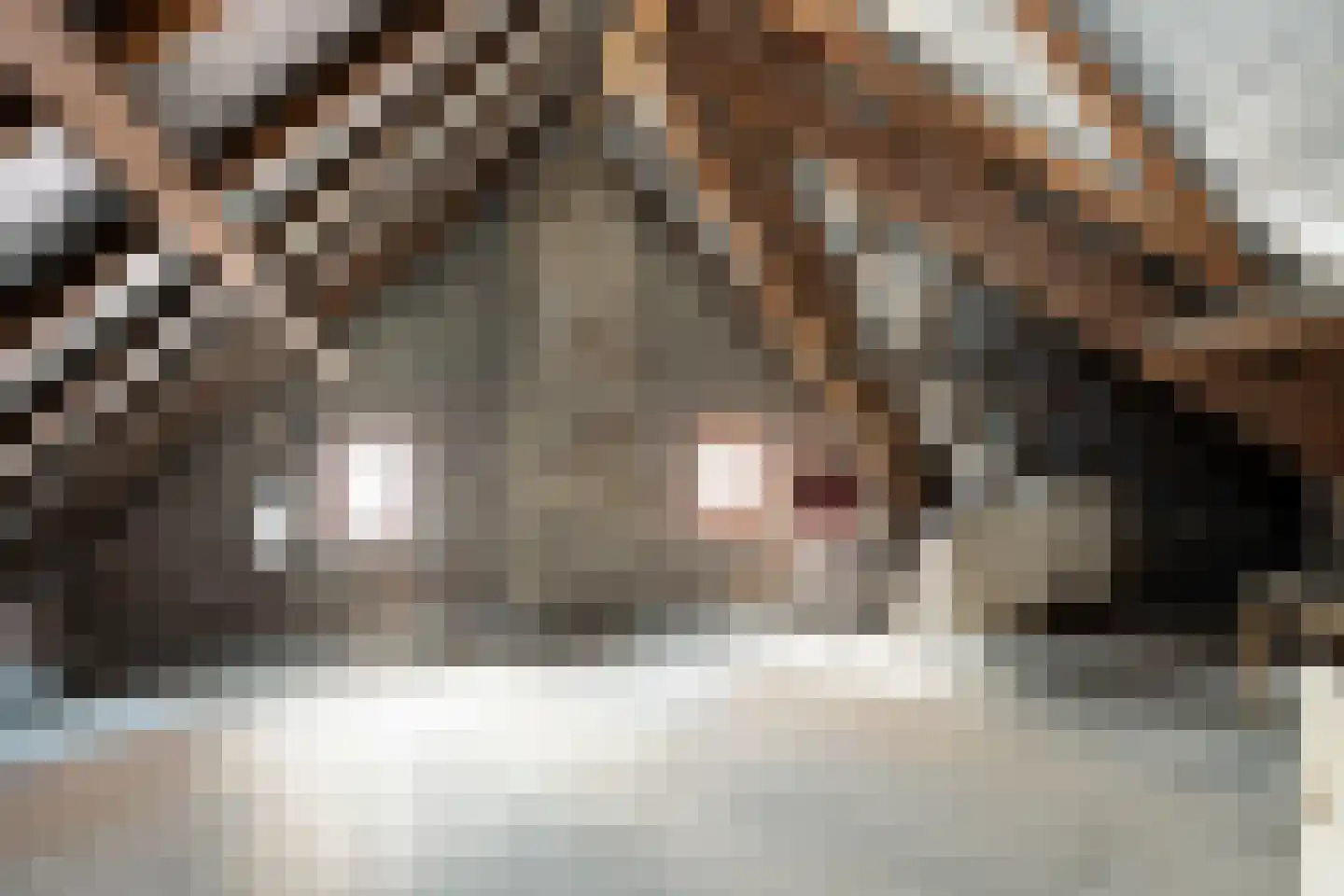 Stationsstraat 23 Susteren thumbnail 29