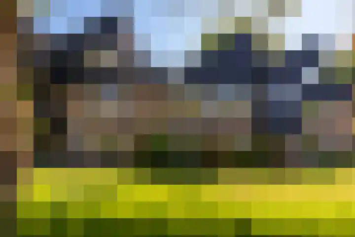 Stationsstraat 24 Vaassen thumbnail 30