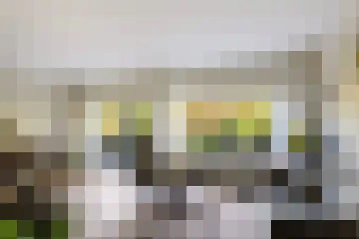 Stationsstraat 24 Vaassen thumbnail 8
