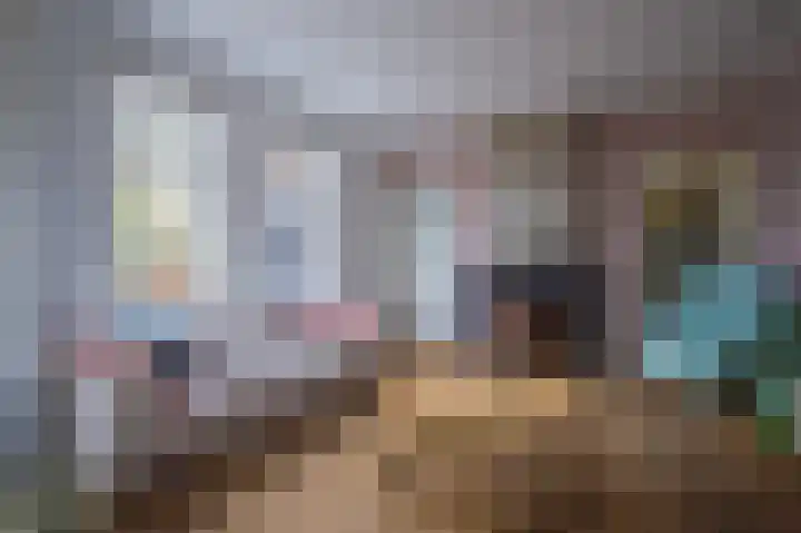 Stationsstraat 25 Elst thumbnail 13
