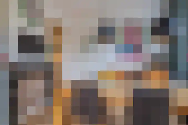 Stationsstraat 25 Elst thumbnail 17