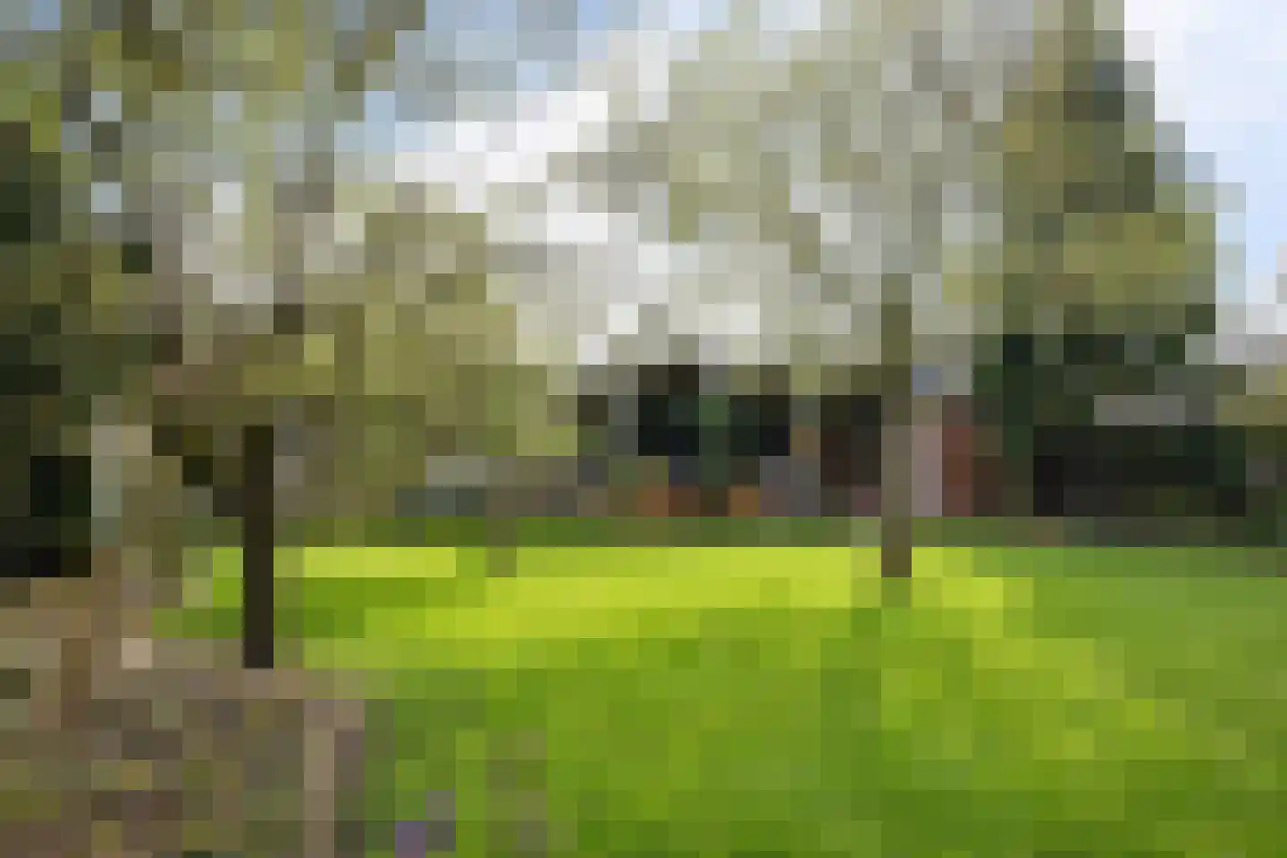 Stationsstraat 28 Ferwert thumbnail 26