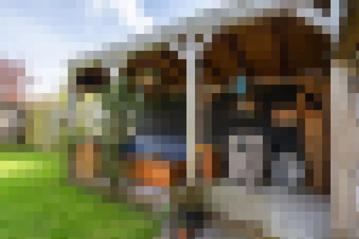 Stationsstraat 28 Ferwert thumbnail 32