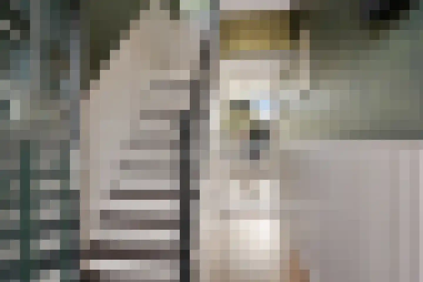 Stationsstraat 28 Ferwert thumbnail 5