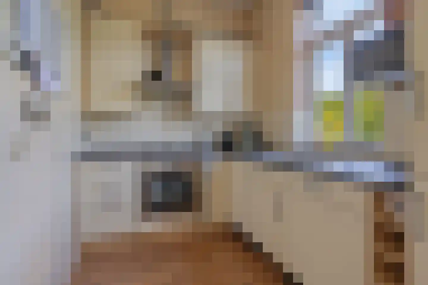 Stationsstraat 29 Bad Nieuweschans thumbnail 22