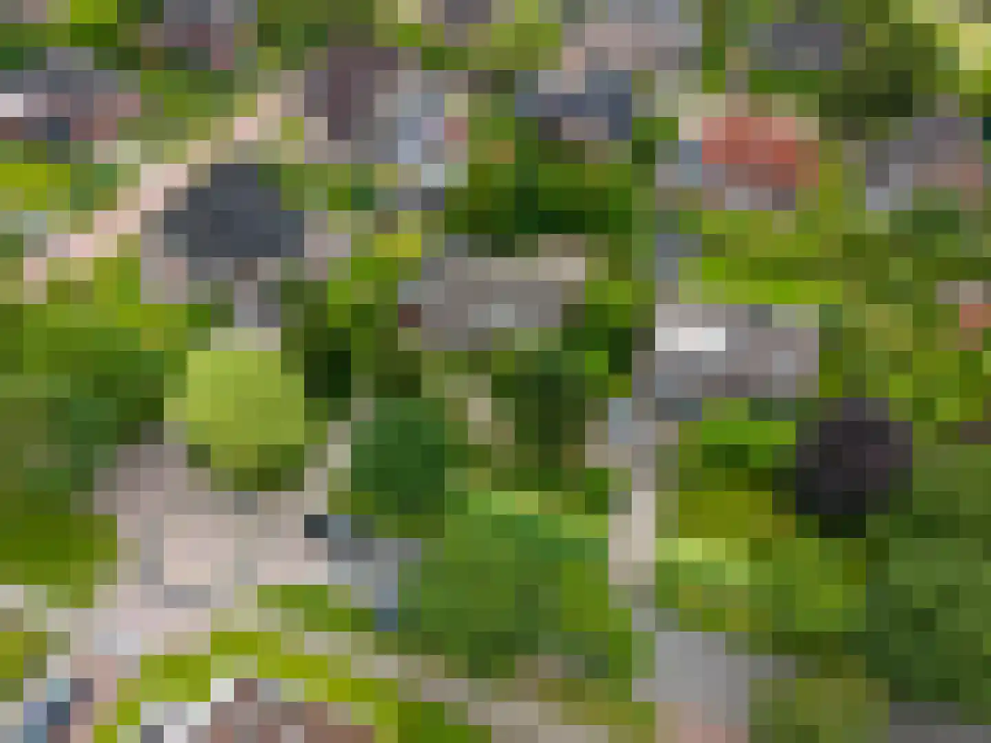 Stationsstraat 29 Sauwerd thumbnail 4