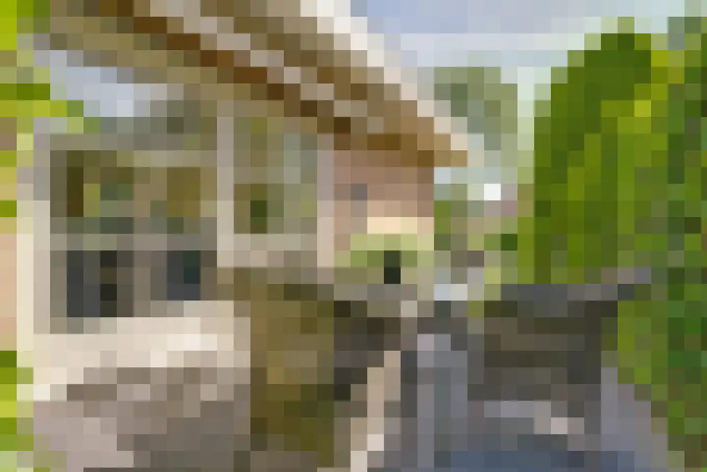 Stationsstraat 29 Valburg thumbnail 40