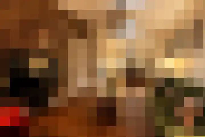Stationsstraat 3 Sneek thumbnail 19