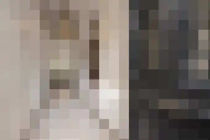 Stationsstraat 3 Sneek thumbnail 8