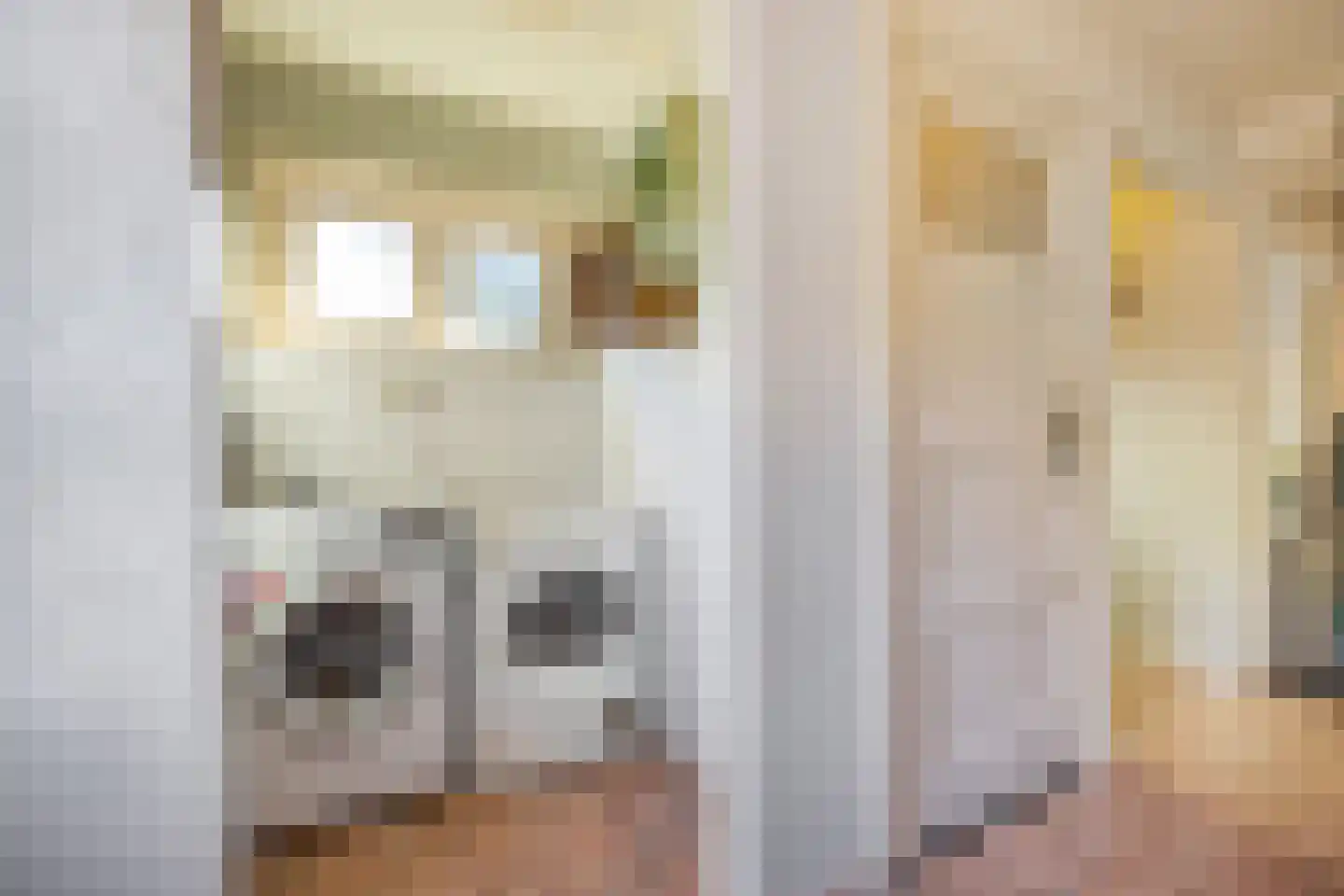Stationsstraat 3 Tynaarlo thumbnail 31