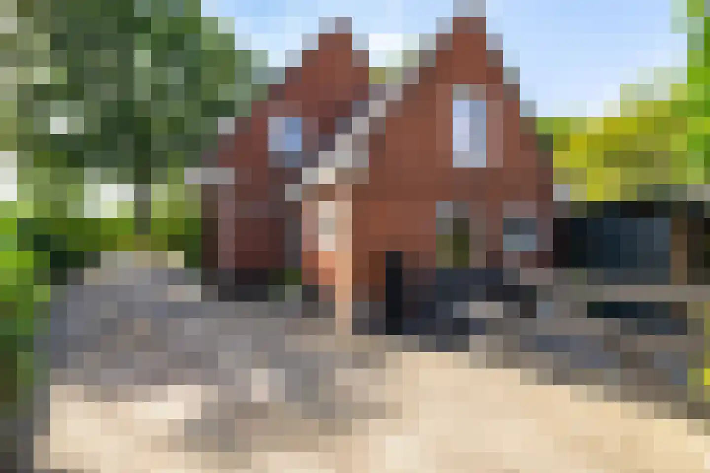 Stationsstraat 3 Tynaarlo thumbnail 41