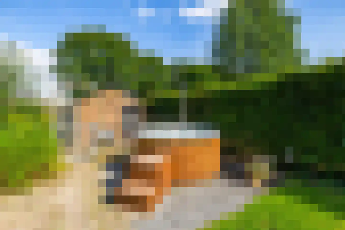 Stationsstraat 3 Tynaarlo thumbnail 55