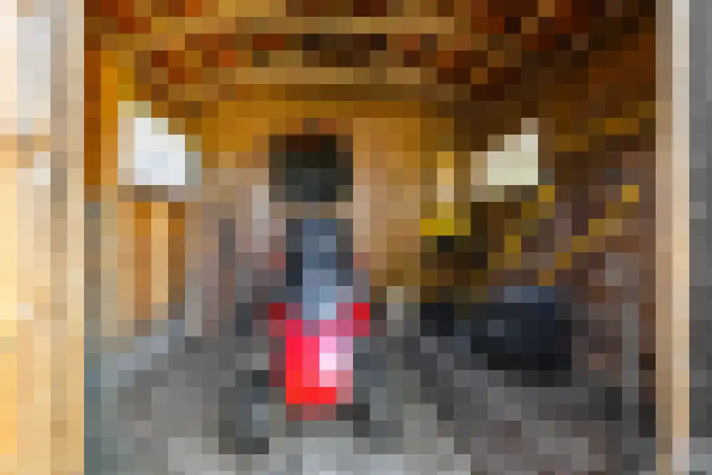 Stationsstraat 3 Tynaarlo thumbnail 65