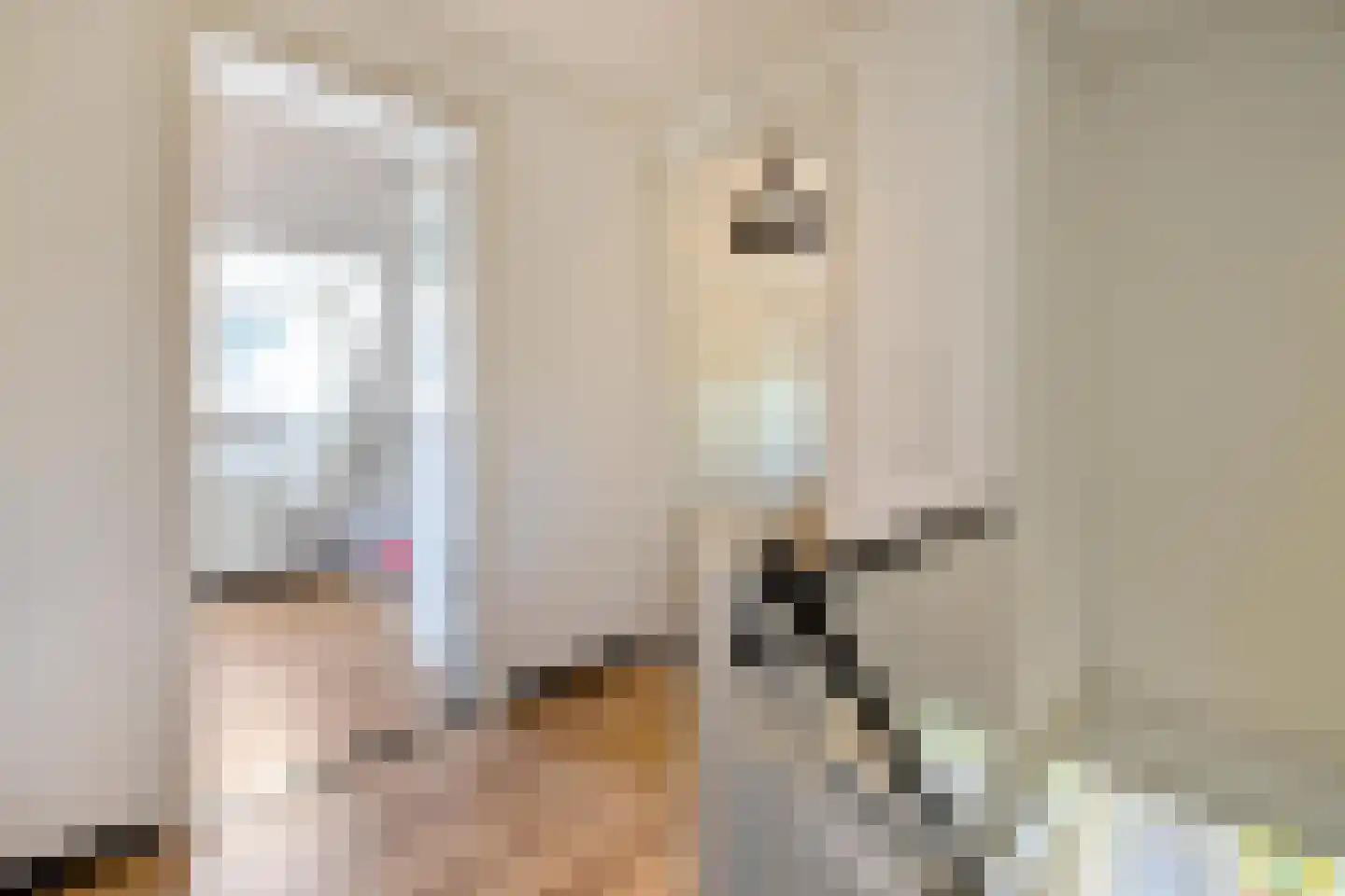 Stationsstraat 3 Tynaarlo thumbnail 68