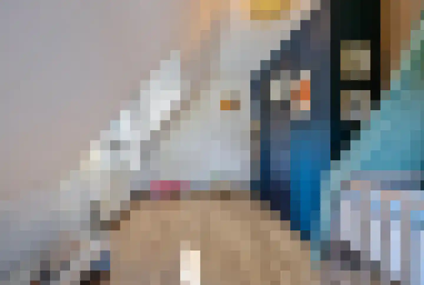 Stationsstraat 3 Tynaarlo thumbnail 73