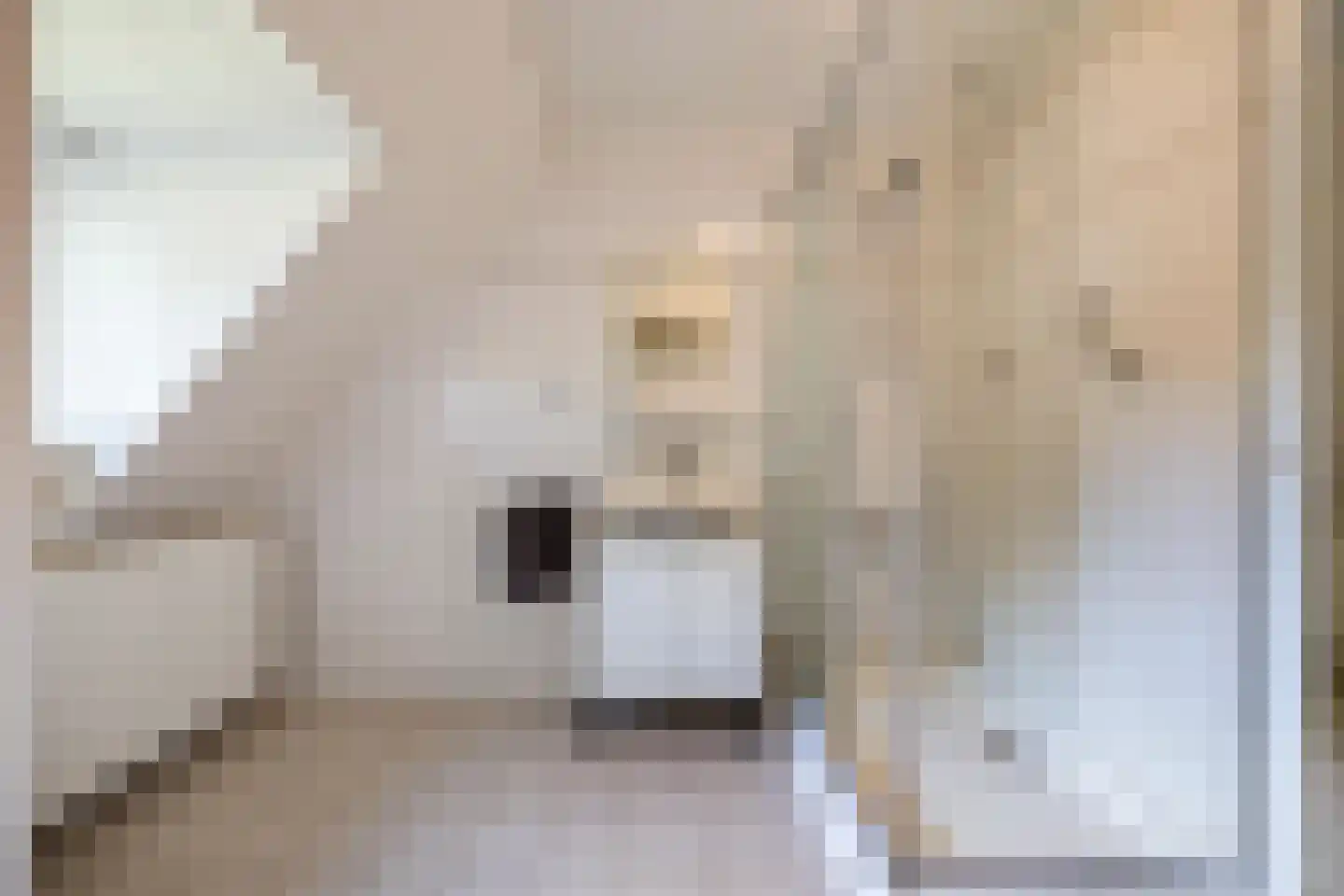Stationsstraat 3 Tynaarlo thumbnail 74