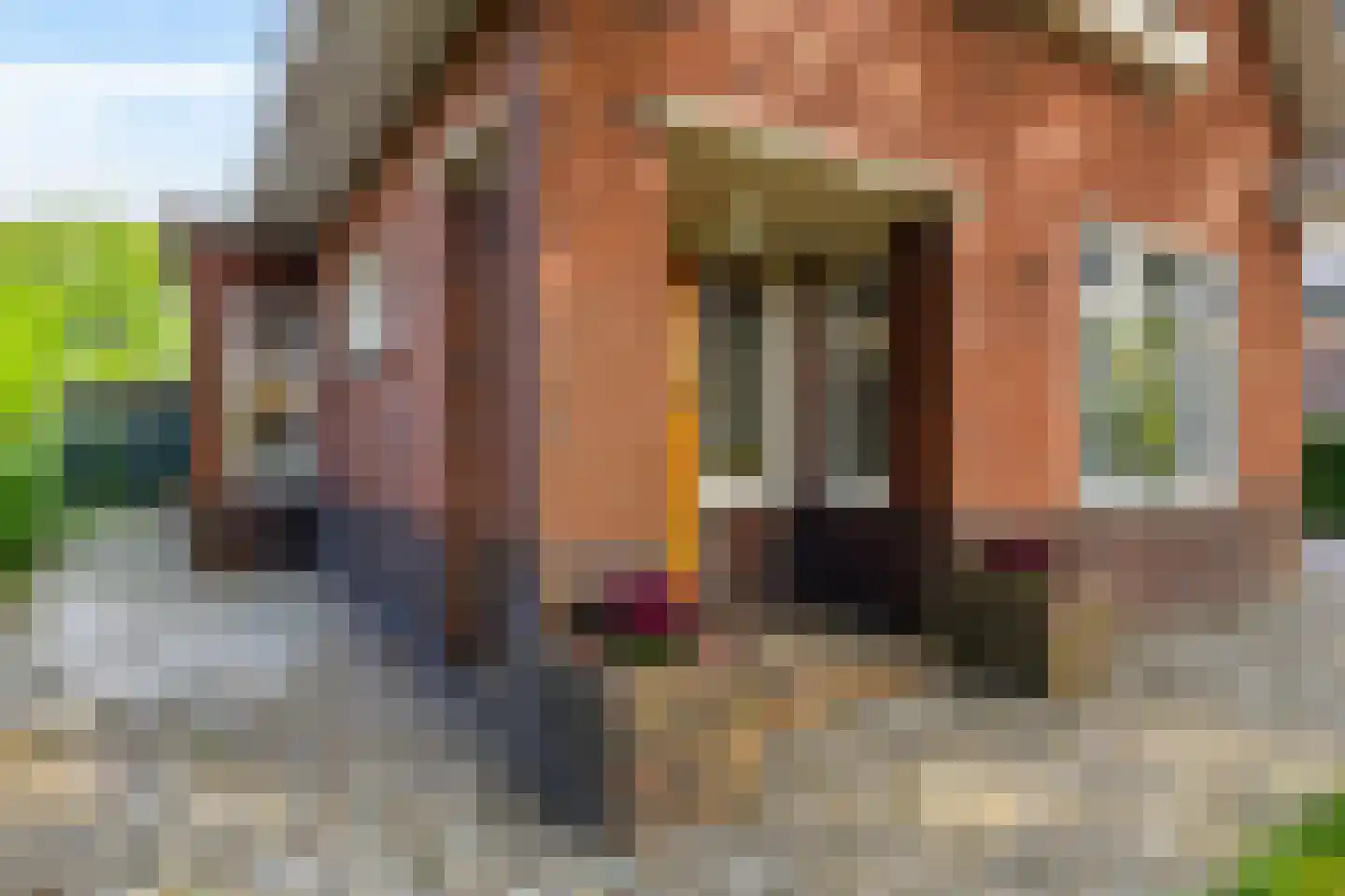 Stationsstraat 3 Tynaarlo thumbnail 9