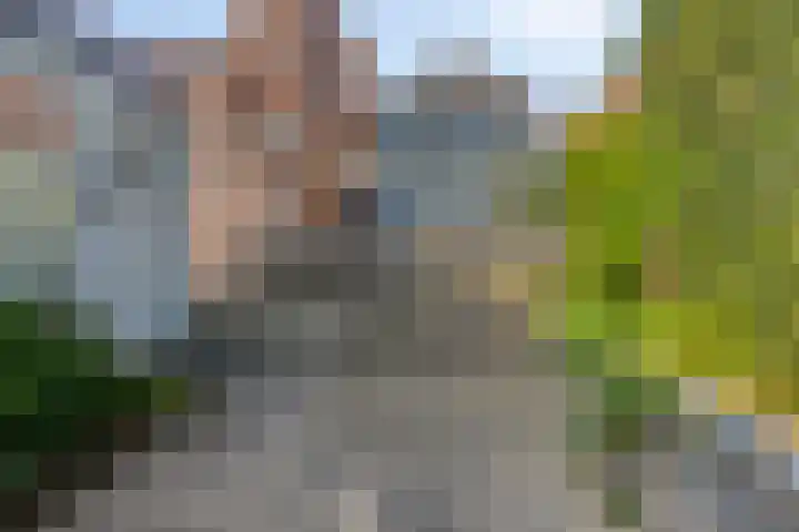 Stationsstraat 3 Zevenbergen thumbnail 4