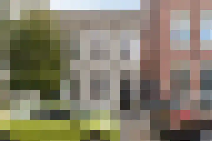 Stationsstraat 3 Zevenbergen thumbnail 53