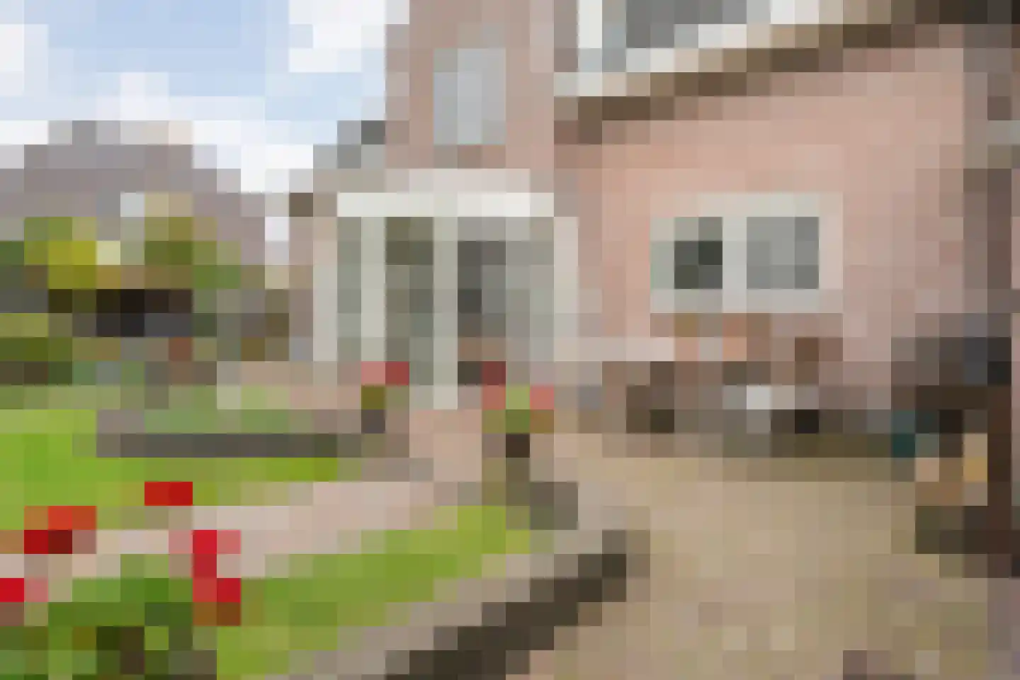 Stationsstraat 30 Raalte thumbnail 48