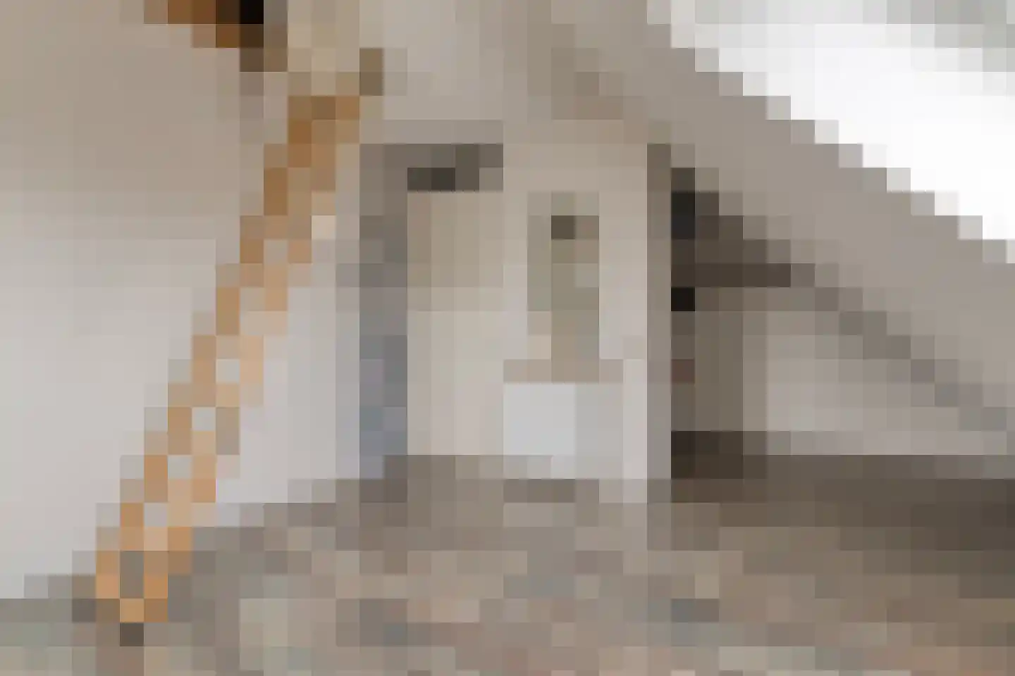 Stationsstraat 30 Spijkenisse thumbnail 16