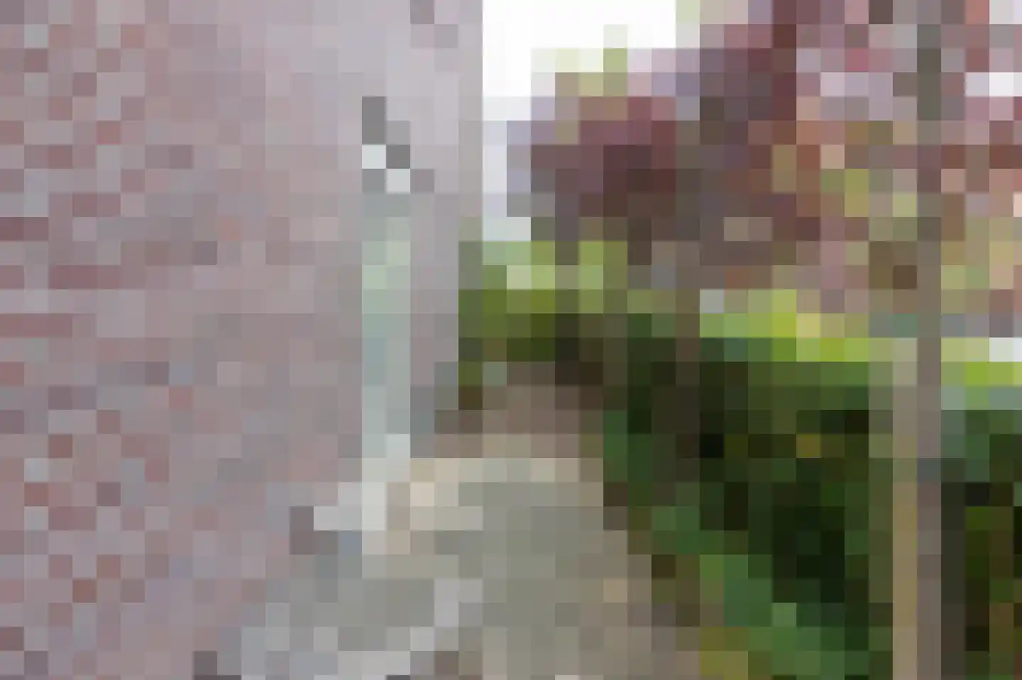 Stationsstraat 32 Spijkenisse thumbnail 17