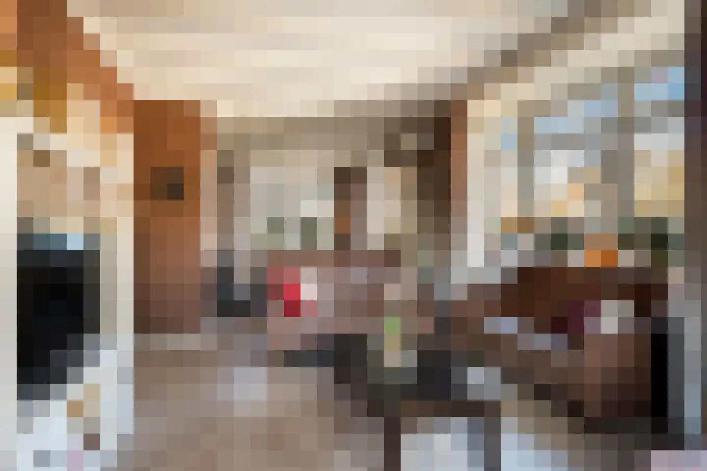 Stationsstraat 33 Ermelo thumbnail 4