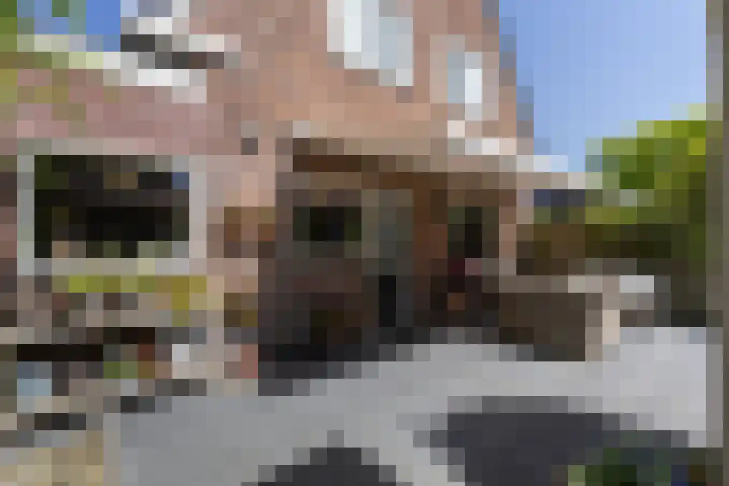 Stationsstraat 33 Ermelo thumbnail 51