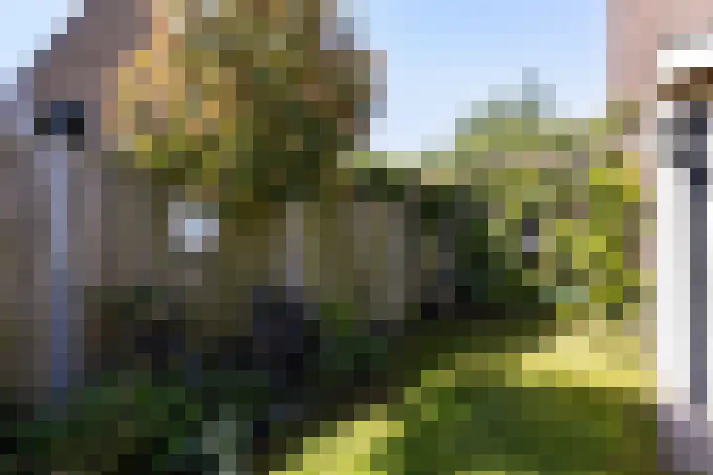Stationsstraat 33 Ermelo thumbnail 55