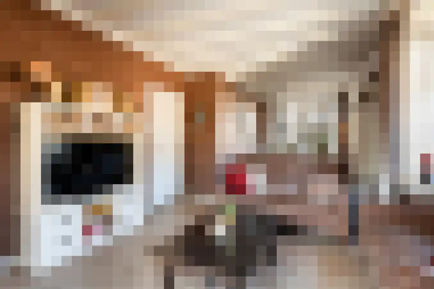 Stationsstraat 33 Ermelo thumbnail 9