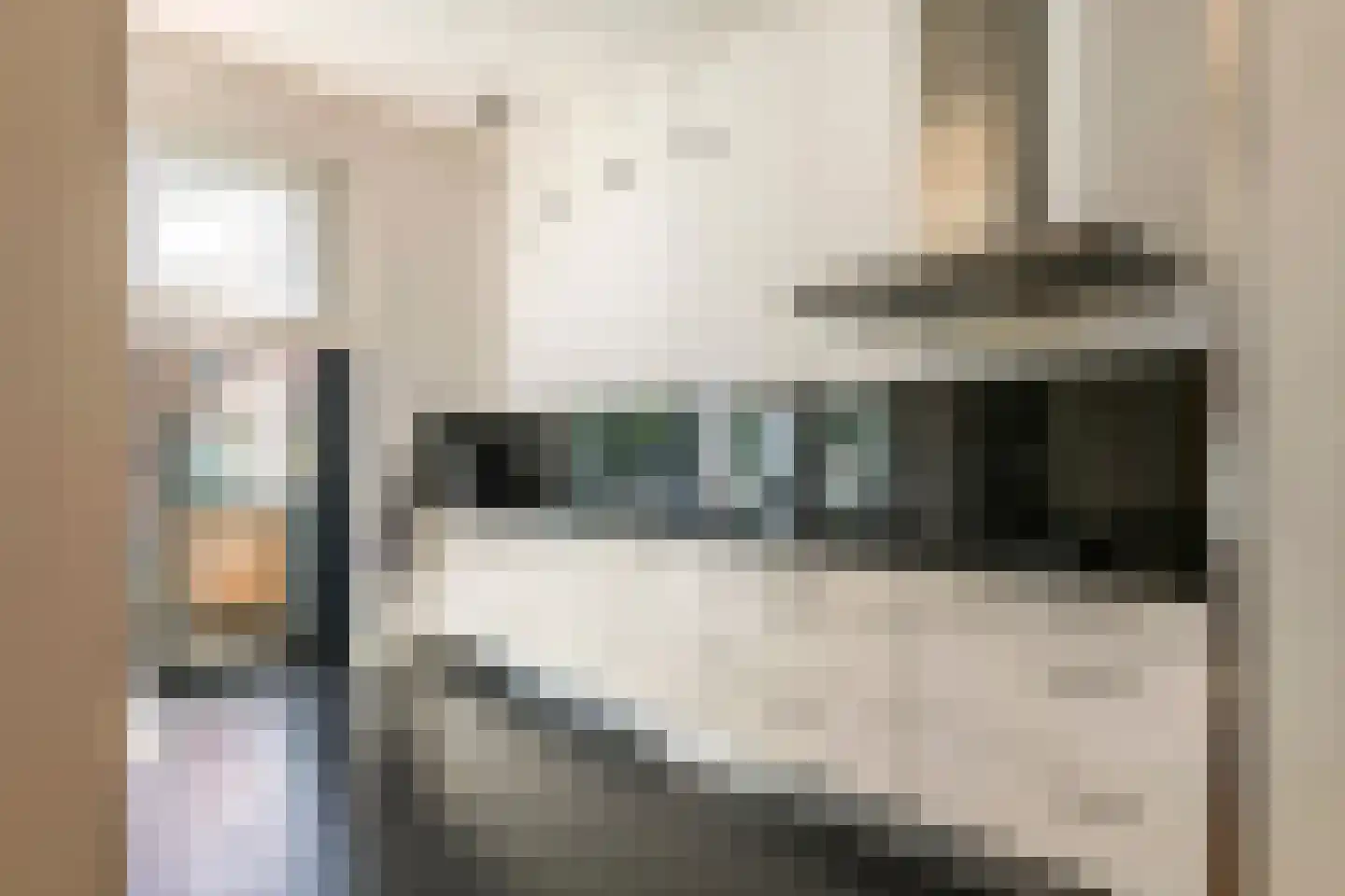 Stationsstraat 33 Tiel thumbnail 17