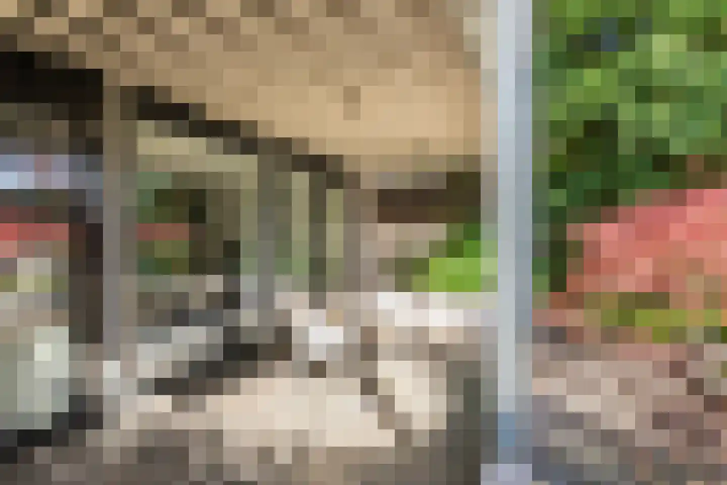 Stationsstraat 33 Tiel thumbnail 62