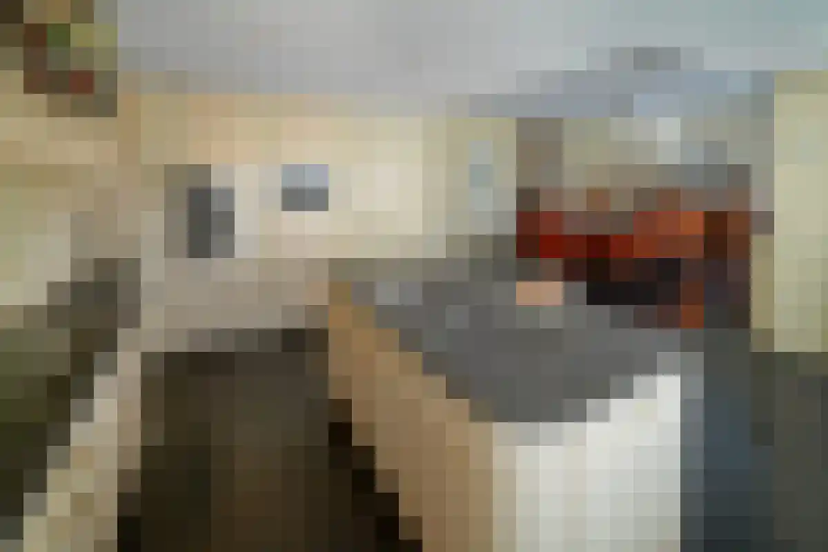 Stationsstraat 34 Schinnen thumbnail 11